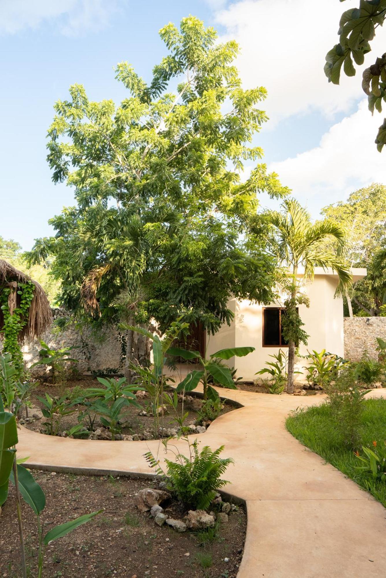 Casa Cactus Buenavista Villa Bacalar Eksteriør billede
